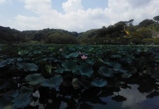 蓮華寺公園 蓮華寺公園