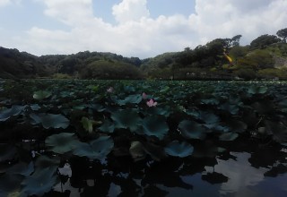 蓮華寺公園